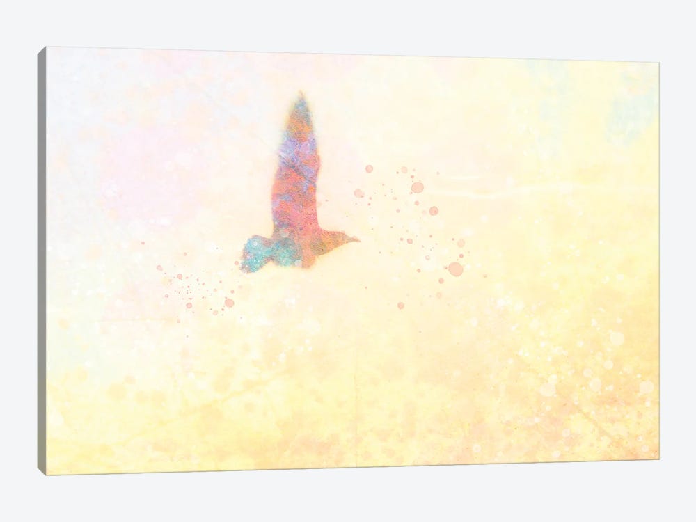 Mystic Gull by Kevin Clifford 1-piece Canvas Art