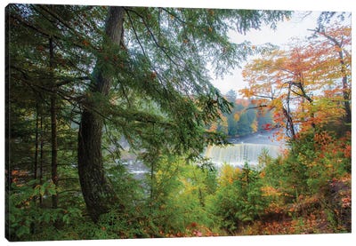 Tahquamenon Autumn II Canvas Art Print - Kevin Clifford