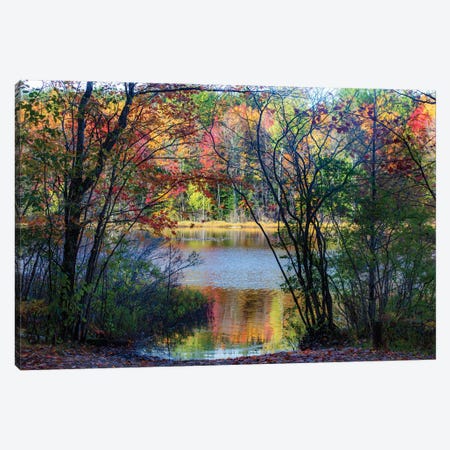Autumn Color Canvas Print #KCF94} by Kevin Clifford Canvas Wall Art