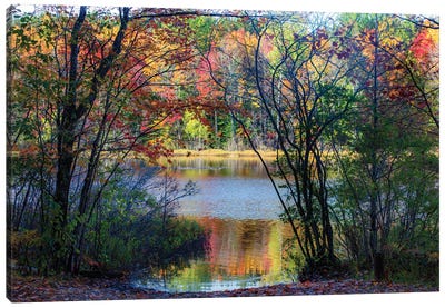 Autumn Color Canvas Art Print - Kevin Clifford
