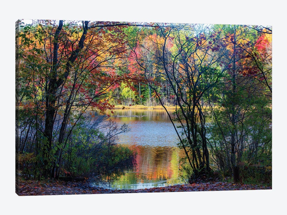 Autumn Color by Kevin Clifford 1-piece Canvas Print