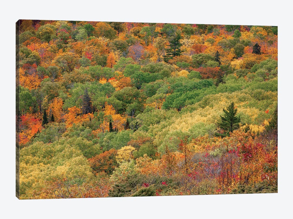 Brockway Colors by Kevin Clifford 1-piece Canvas Print