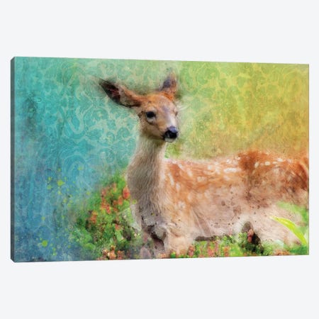 Splashy Inquisitive Deer Canvas Print #KCF9} by Kevin Clifford Canvas Print