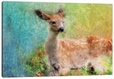 Splashy Inquisitive Deer Canvas Art Print - Kevin Clifford