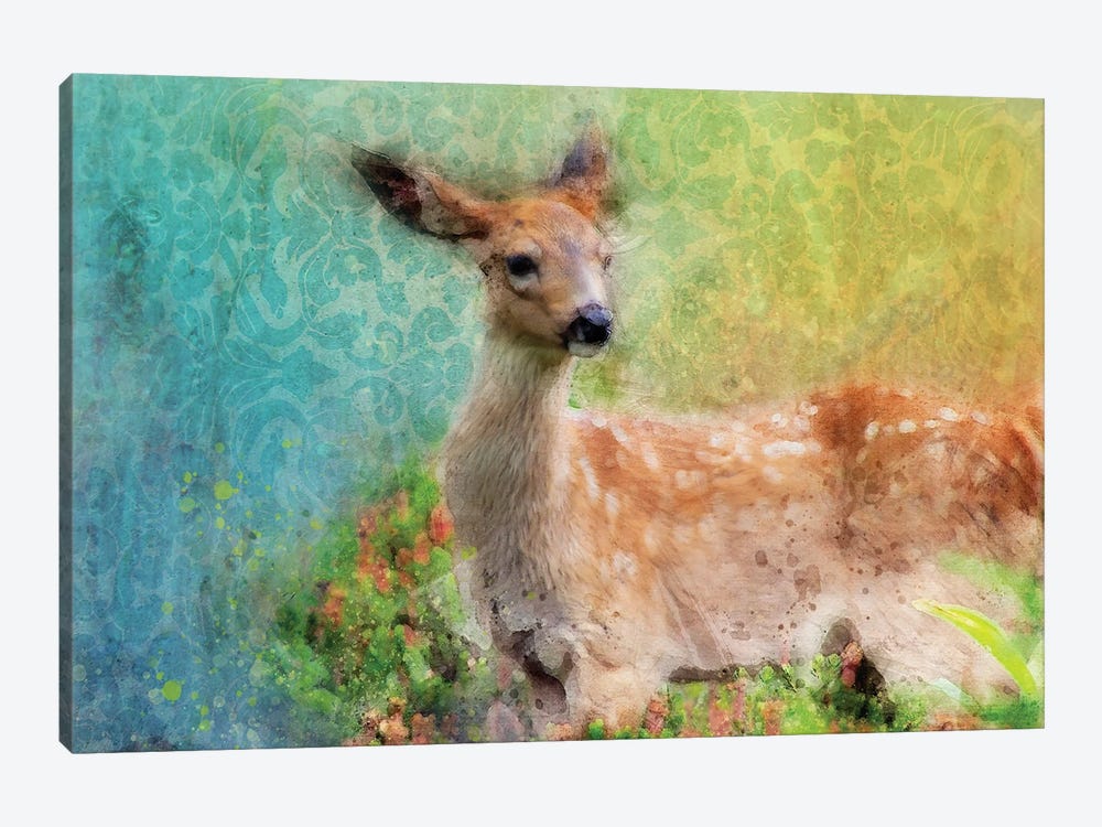 Splashy Inquisitive Deer by Kevin Clifford 1-piece Art Print