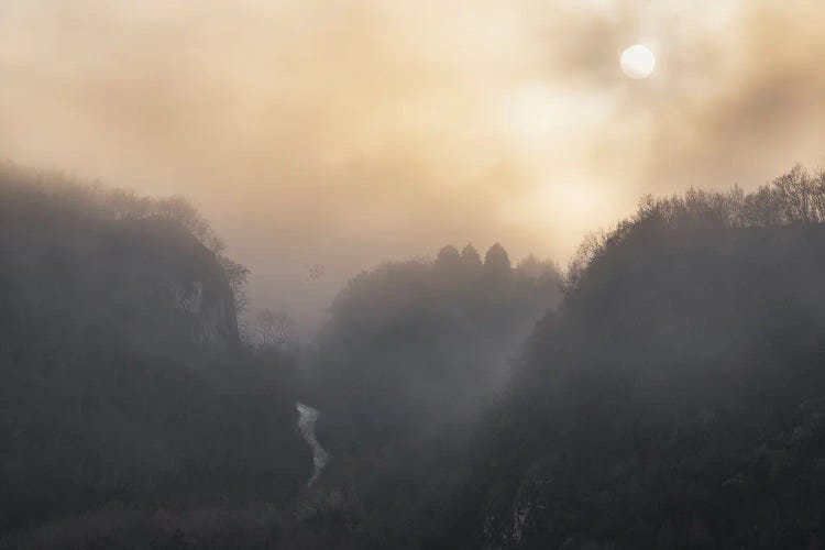 Gold Valley by Marina Anghileri wall art
