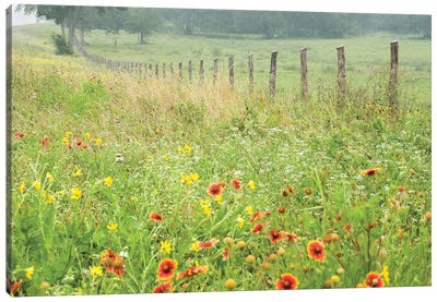 Flowers Along A Fence Canvas Art Print - Country Scenic Photography