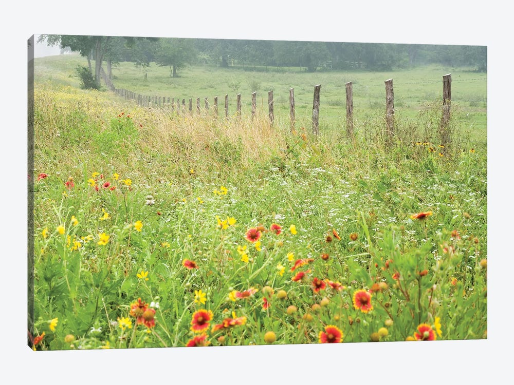Flowers Along A Fence by Karin Connolly 1-piece Canvas Artwork