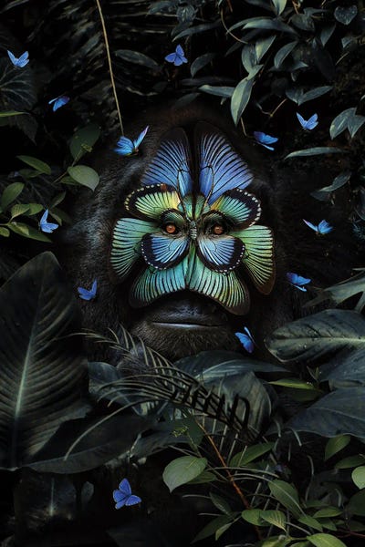 Gorillas: Metamorphosis by Karen Cantuq