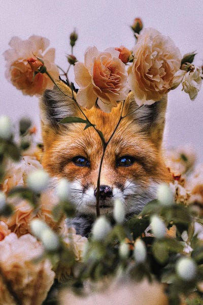 Thousand Summers by Karen Cantuq art print