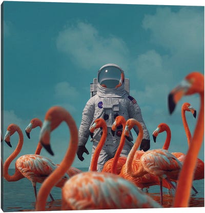 Day Twenty-Four Canvas Art Print - Astronaut Art