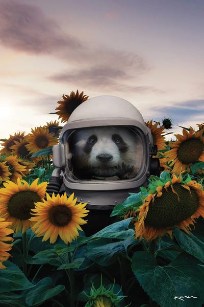 Pandas: We Could Be Lost Together by Karen Cantuq