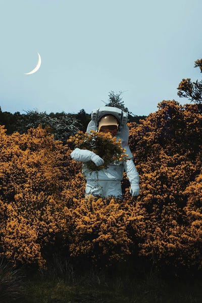 Maybe We Got Lost in Translation