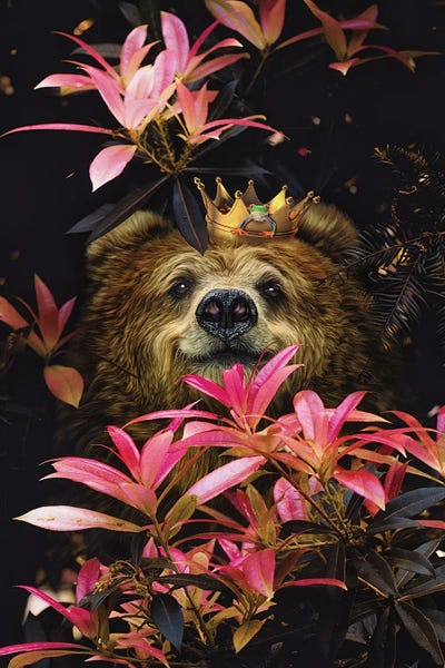 Brown Bears: U Smell Like U Numb the Pain by Karen Cantuq