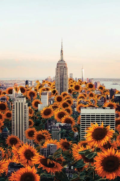 Healing: Healing Season NYC by Karen Cantuq