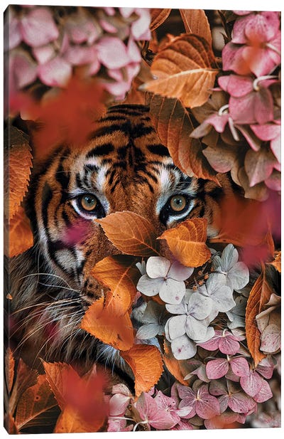 I Fall Every Time Canvas Art Print - Tiger Art