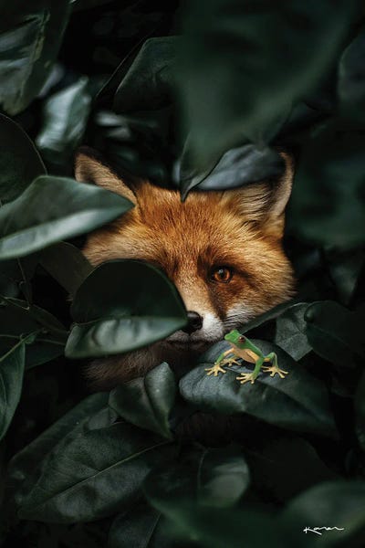 Frogs: I Love My Heart Because It's Yours by Karen Cantuq