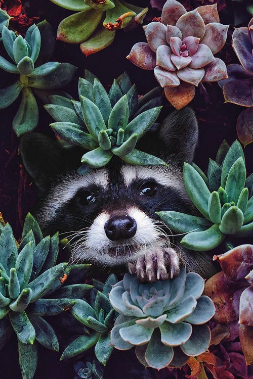Hello You're Beautiful by Karen Cantuq wall art