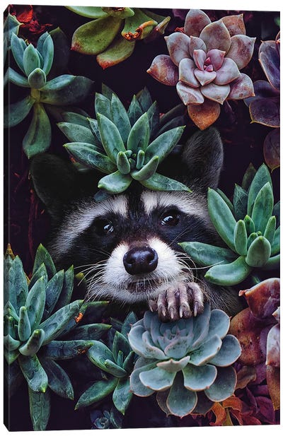 Hello You're Beautiful Canvas Art Print - Raccoon Art