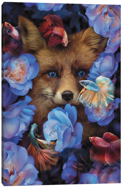 I Found You Without Even Looking Canvas Art Print - Fox Art