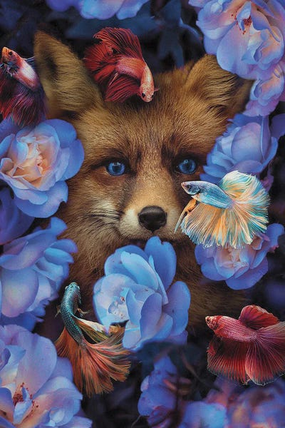 Dreamer: I Found You Without Even Looking by Karen Cantuq