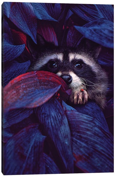 I've Learned A Lot by Watching You Exist Canvas Art Print - Raccoon Art