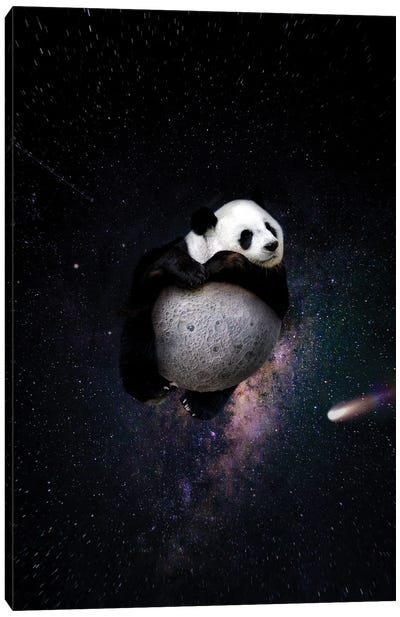 A Soul Traveler Canvas Art Print - Panda Art