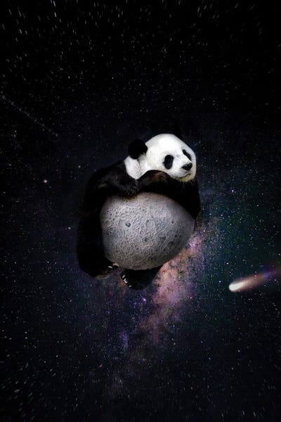 Pandas: A Soul Traveler by Karen Cantuq