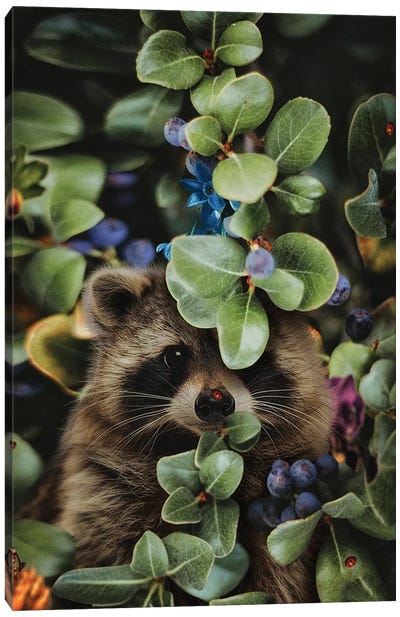 Don't Wait Until Heaven to Bloom Canvas Art Print - Raccoon Art