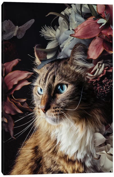 You Are the Fairest Of Them All Canvas Art Print - Karen Cantuq