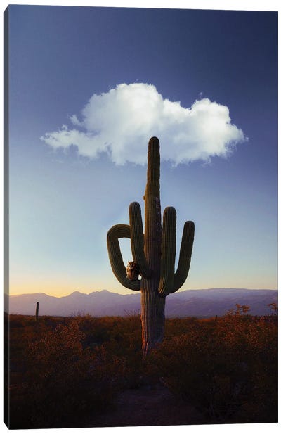 Hey Mate! Canvas Art Print - Desert Landscape Photography