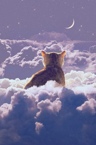 All Purples: I Wish You Know by Karen Cantuq