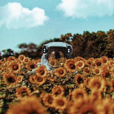 Sorry For The Inconvenience by Karen Cantuq art print