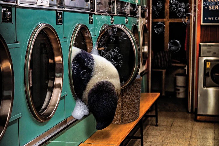 Laundry Day