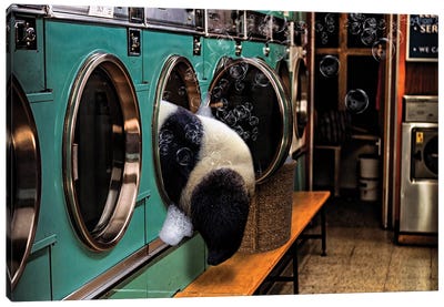Laundry Day Canvas Art Print - Panda Art