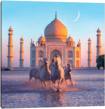 Healing Season, India Canvas Art Print - Taj Mahal