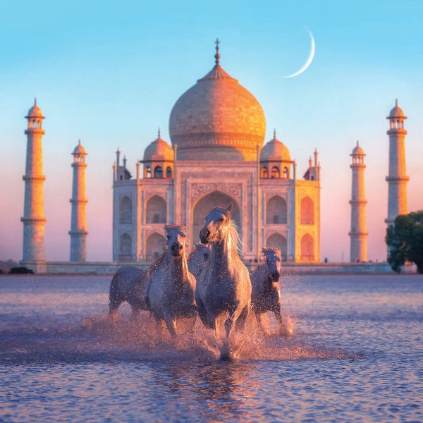 Taj Mahal: Healing Season, India by Karen Cantuq