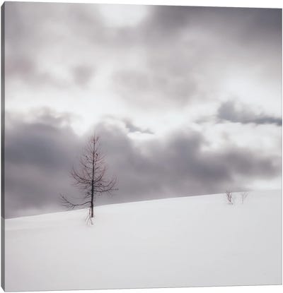 Traces Canvas Art Print - Atmospheric Photography