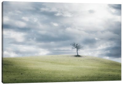 A Lone Tree On A Hilltop Canvas Art Print - Atmospheric Photography