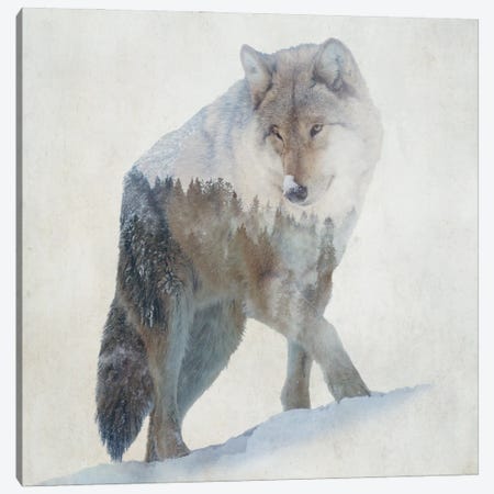 Lone Wolf Canvas Print #KCU111} by Kim Curinga Art Print