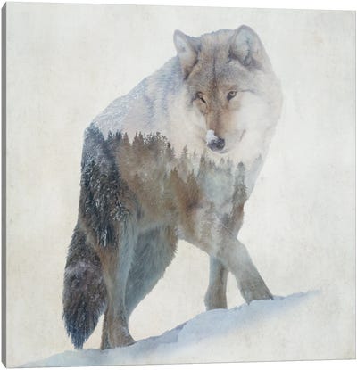 Lone Wolf Canvas Art Print - Double Exposure Photography