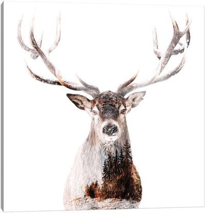 The Stag Canvas Art Print - Double Exposure Photography