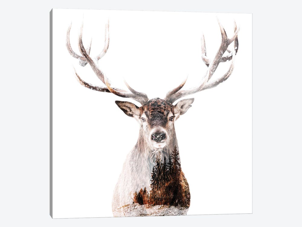 The Stag by Kim Curinga 1-piece Canvas Art Print