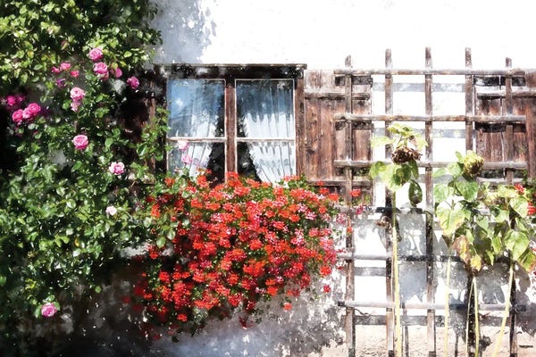 Kim Curinga: Trellis And Flowers by Kim Curinga