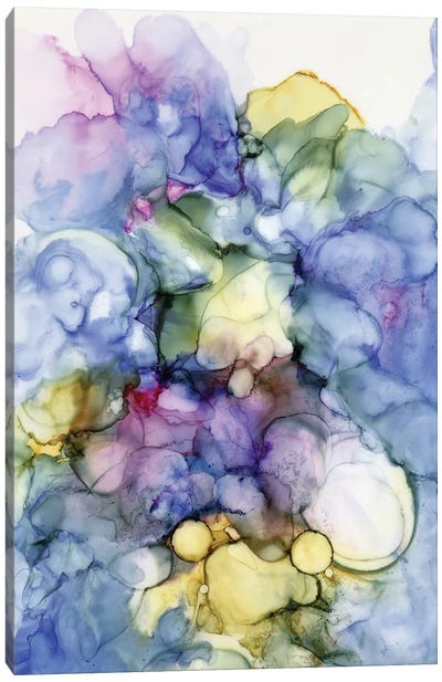Pansy Explosion Canvas Art Print - Kim Curinga