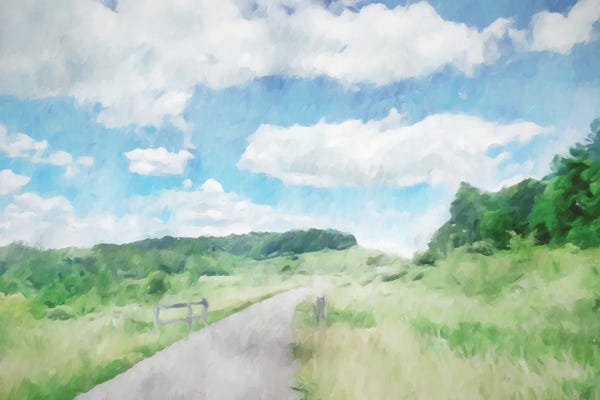 Kim Curinga: Trail Path by Kim Curinga