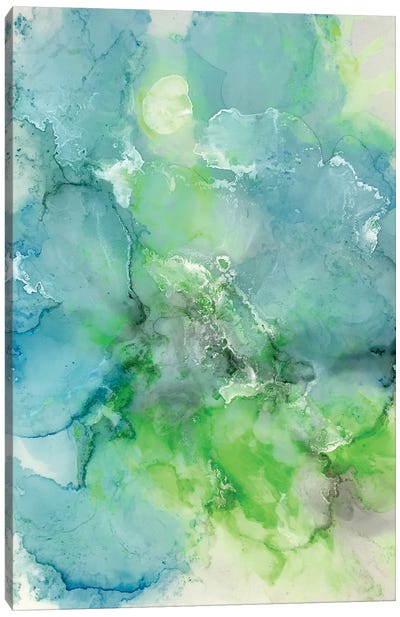 Turquoise Crystal Canvas Art Print - Kim Curinga