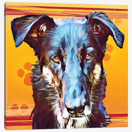 Pop Dog I Canvas Print #KCU1} by Kim Curinga Canvas Art Print