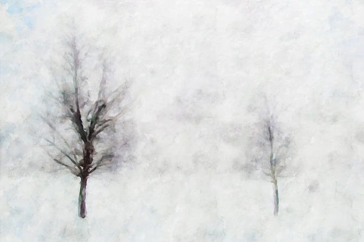 Misty Series #11 by Kim Curinga wall art