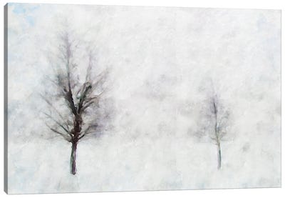 Misty Series #11 Canvas Art Print - Kim Curinga